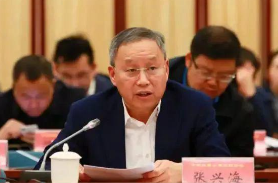 全国人大代表、小康集团董事长张兴海：建议年轻人多进厂打工，不能只考虑个人收入